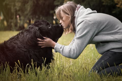 Best dogs for kids, Newfoundland