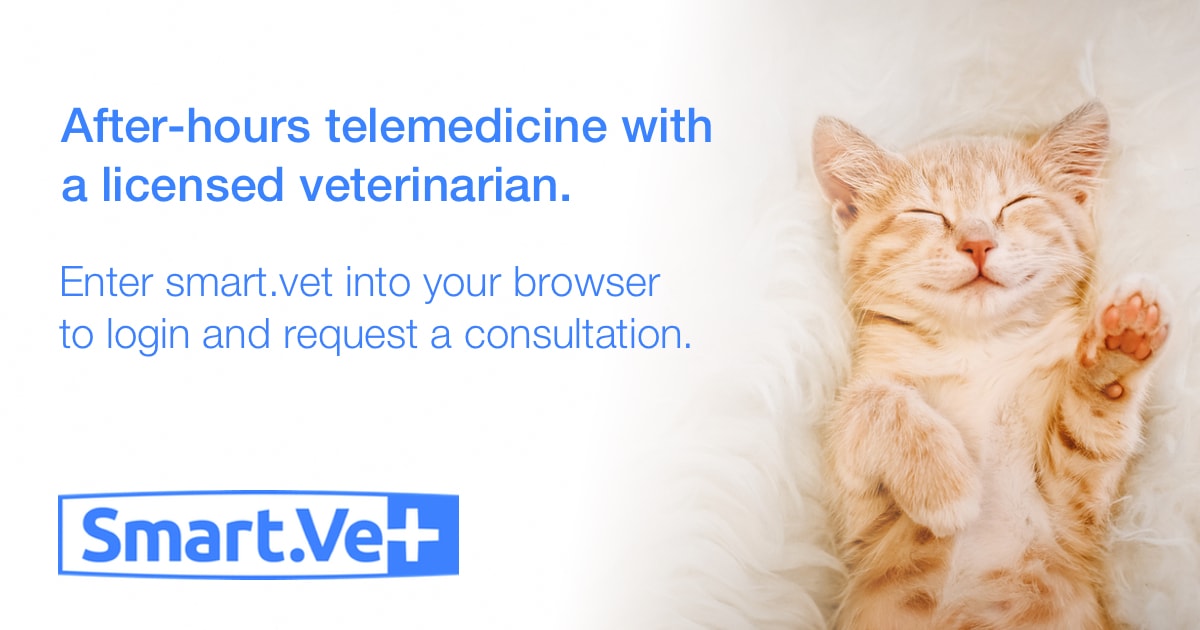 Smart.Vet Virtual Vet Support, Sault Ste. Marie Veterinary Services